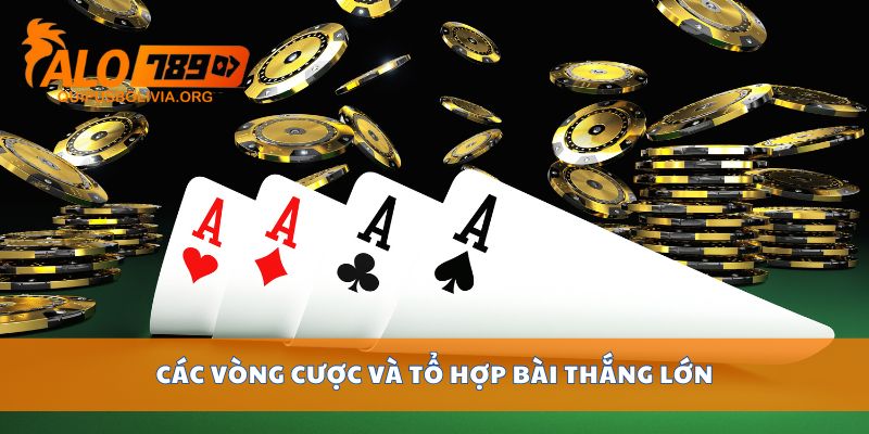 Các vòng cược và tổ hợp bài thắng lớn
