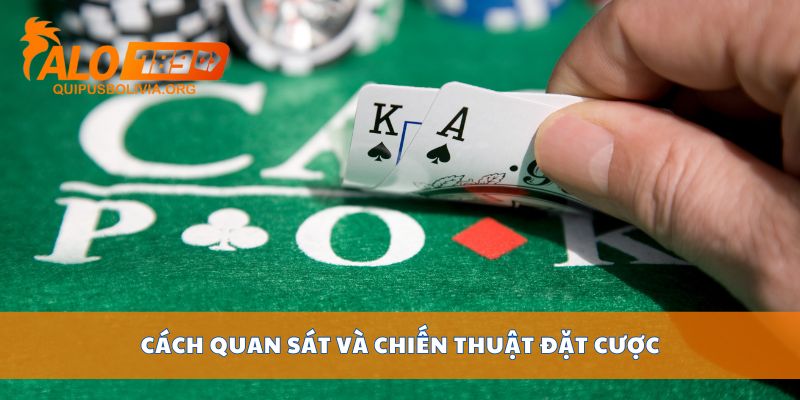 Cách quan sát và chiến thuật đặt cược