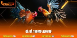 Đá Gà Thomo ALO789 | Loại Hình Chọi Kê Mãn Nhãn Nhất