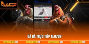 Đá Gà Trực Tiếp ALO789 - Giải Chiến Kê Qua Live Chuyên Nghiệp