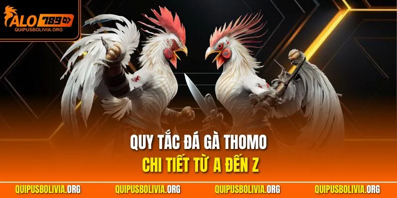 Quy tắc đá gà Thomo chi tiết từ A đến Z